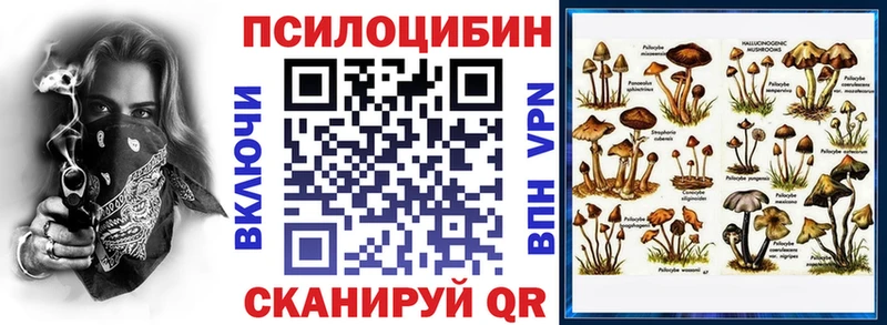 Галлюциногенные грибы прущие грибы  Купить где  Ковров 
